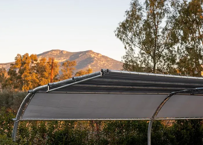 Sun And Sea - Beachfront, 2 Bedrooms With Sea View & Garden Apartman Parálion Ástros